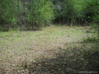 900 Hopeful Church Road, Ozark, Alabama 36360, USA