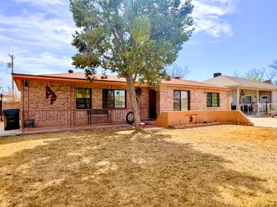 1407 Irvin Street, Carlsbad, NM 88220, USA