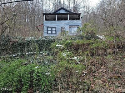 608 Park Avenue, Appalachia, Virginia 24216, USA