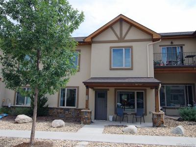 219 Summitview Lane, Poncha Springs, Colorado 81201, États-Unis