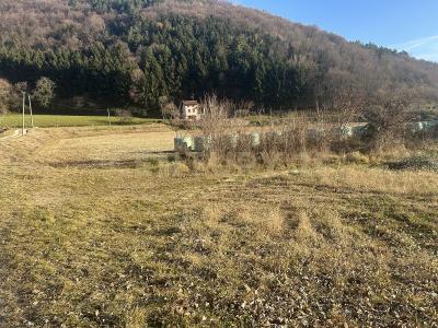 Via Don Giovanni Calabria, Tregnago, Veneto 37039, איטליה