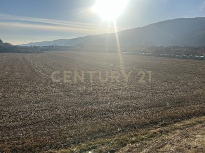 Via Don Giovanni Calabria, Tregnago, Veneto 37039, איטליה