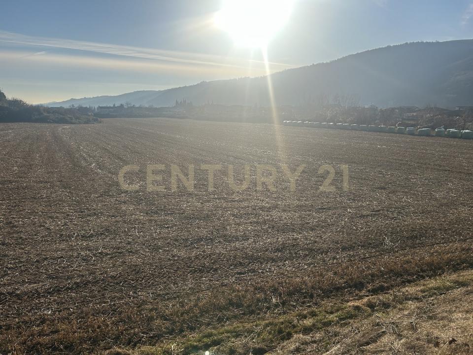 Via Don Giovanni Calabria, Tregnago, Wenecja Euganejska 37039, Włochy