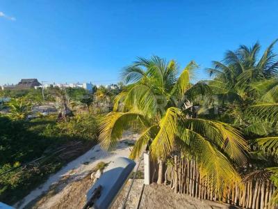 44 POLIGONO II 118,, Telchac Puerto, 尤卡坦 97407, 墨西哥