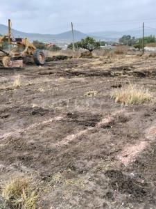 Atotonilco De Tula, Hidalgo 42951, Mexique