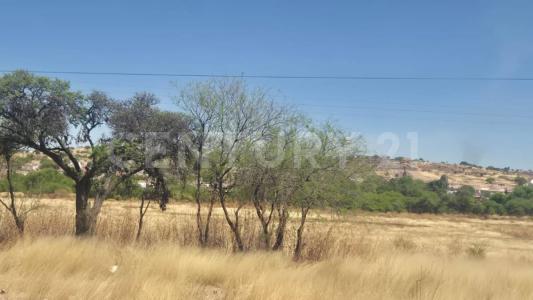 Aguascalientes, Aguascalientes 20367, Mexico