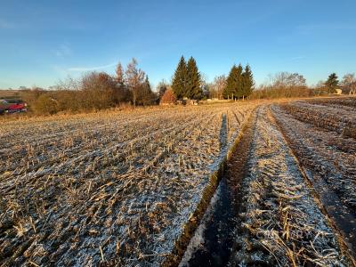 Velká Bukovina, Děčín 100 00, Repubblica Ceca