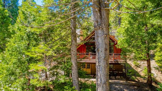 1163 Silver Tip Lane, Fish Camp, California 93623, USA