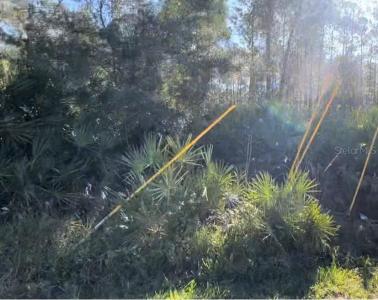 1645 11th Avenue, Deland, Florida 32724, USA