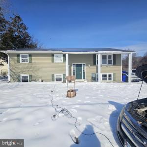 3171 WILLIAMSVILLE RD, HOUSTON, Delaware 19954, USA