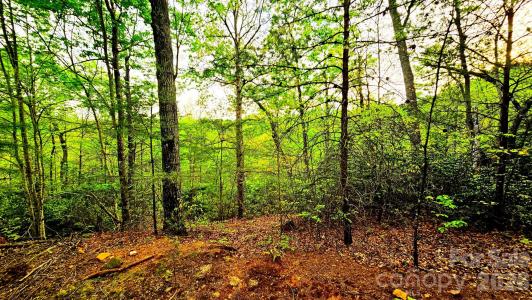 Lot 59 Bear Cliff Way, Lake Lure, North Carolina 28746, Stati Uniti
