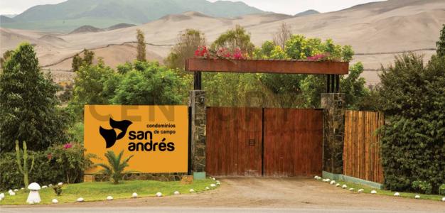 Ubicación Rural U.C. 24623 Fundo San Andres, Santa Cruz de Flores. , Cañete, Lima 00001, Peru