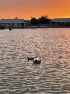 1814 N 108TH Avenue, Avondale, Arizona 85392, Stati Uniti