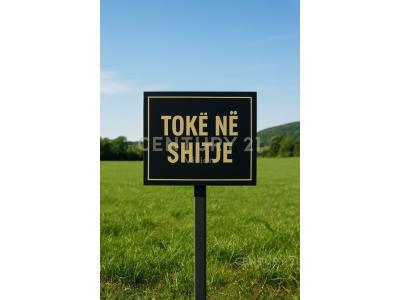 Periferia Shkodër, Shkodër, Albanie