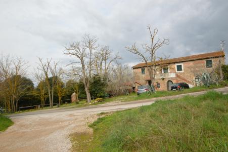 Via Maria Alessandra Barbantini, Grosseto, Toscana 58100, Itália