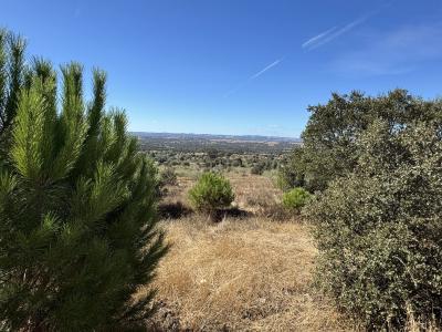 Elvas, Portalegre 7350-501, Portugal