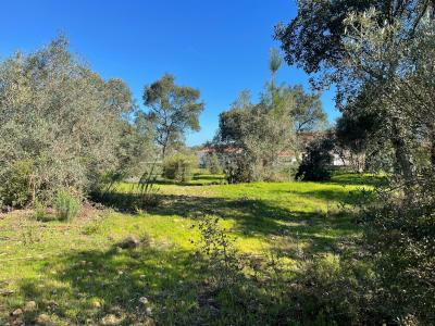 Abrantes, Santarem 2200-650, Portogallo