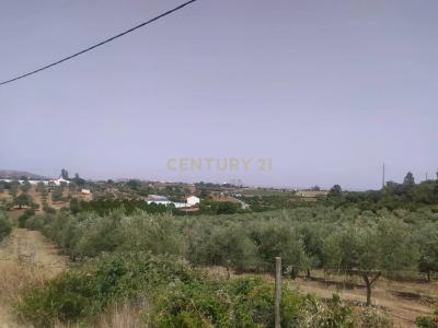 Elvas, Portalegre 7350-461, Portugal