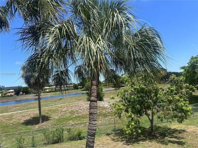 7021 Environ Boulevard #317, Lauderhill, Florida 33319, USA