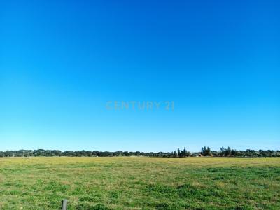 Elvas, Portalegre 7350-451, Bồ Đào Nha