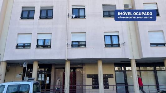 Portalegre, Portalegre 7300-179, Portugal