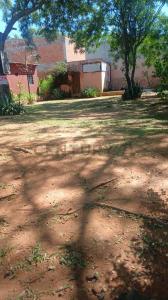 FRANCISCO SOLANO LIMPIO , Limpio, Central 4562, Paraguay