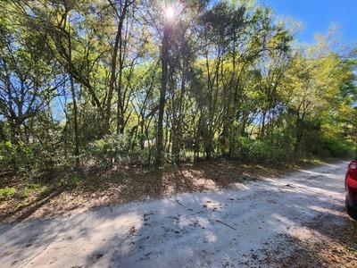 TBD SW 30 St, Ocala, Florida 34481, Amerika Birleşik Devletleri