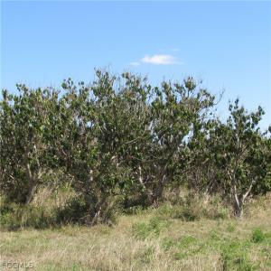 13171 Samadani Lane, Bokeelia, Florida 33922, Stati Uniti