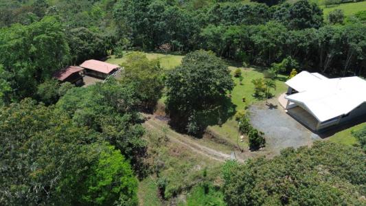 San Juan Sur , Turrialba Turrialba, Cartago 30501, Costa Rica