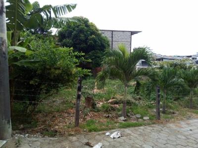 Umiña Av 35, Manta, Manabí 00001, Equateur