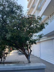 Iquique, Tarapacá 00001, チリ