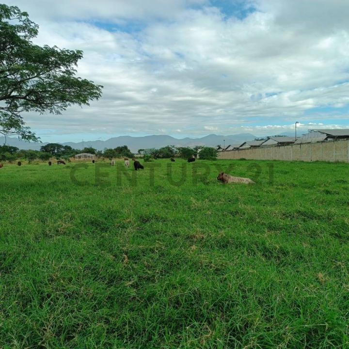 El Consejo, Aragua 00001, Venezuela