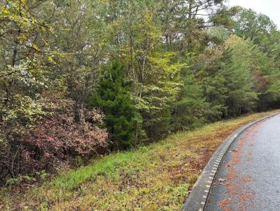 3 Countryside Drive, Dunlap, Tennessee 37327, USA