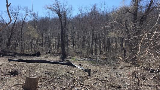 91 Barrett Hill Road, Carmel, NY 10512, USA