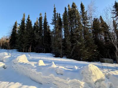 32664 Strauss Court, Soldotna, Alaska 99669, États-Unis