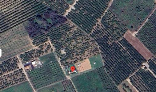 Castelló/Castellón, Comunitat Valenciana 12529, 西班牙