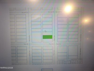 Pearl N Avenue, Golconda, Nevada 89414, Stati Uniti