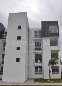 CEDRO DE ALASKA 9 LT 2 95,, Tecámac, Stato Del Messico 55767, Messico