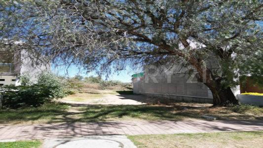 Circuito Viñedos 79,, San Juan Del Río, Querétaro 76803, Mexico