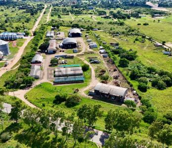 Oeste, Santa Cruz 00001, 玻利維亞