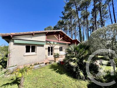 Ares, アキテーヌ 33740, アキタン