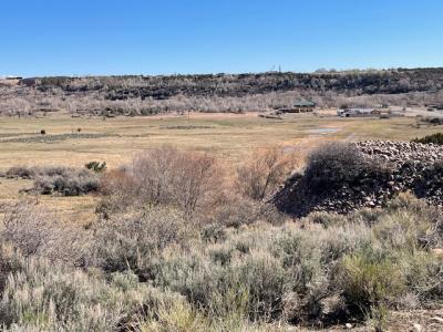 17464 W 3750 N, Altamont, Utah 84001, États-Unis