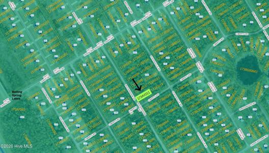 Lot 18 Rockingham Road, Boiling Spring Lakes, NC 28461, USA