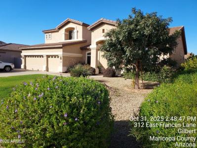 296 E Frances Ln, Gilbert, Arizona 85295, USA