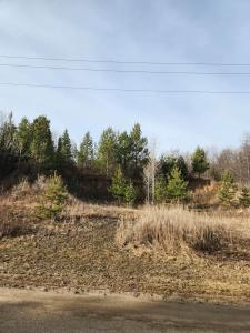 00 County Road 19 SE, Minot, ND 58701, USA