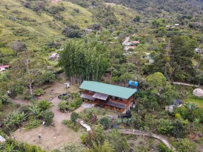 Rivas , San Isidro Del General Pérez Zeledón, San José 00001, Costa Rica