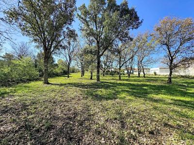 Alcobaça, Leiria 2460-500, Portugal