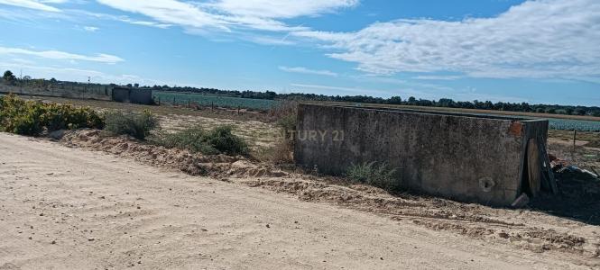 Salvaterra De Magos, Santarem 2120-179, Portugal