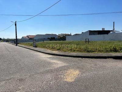 Alpiarça, Santarem 2090-087, Portugal