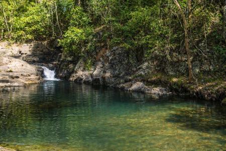 85 Ruwoldts Road, West Woombye, QLD 4559, Avustralya